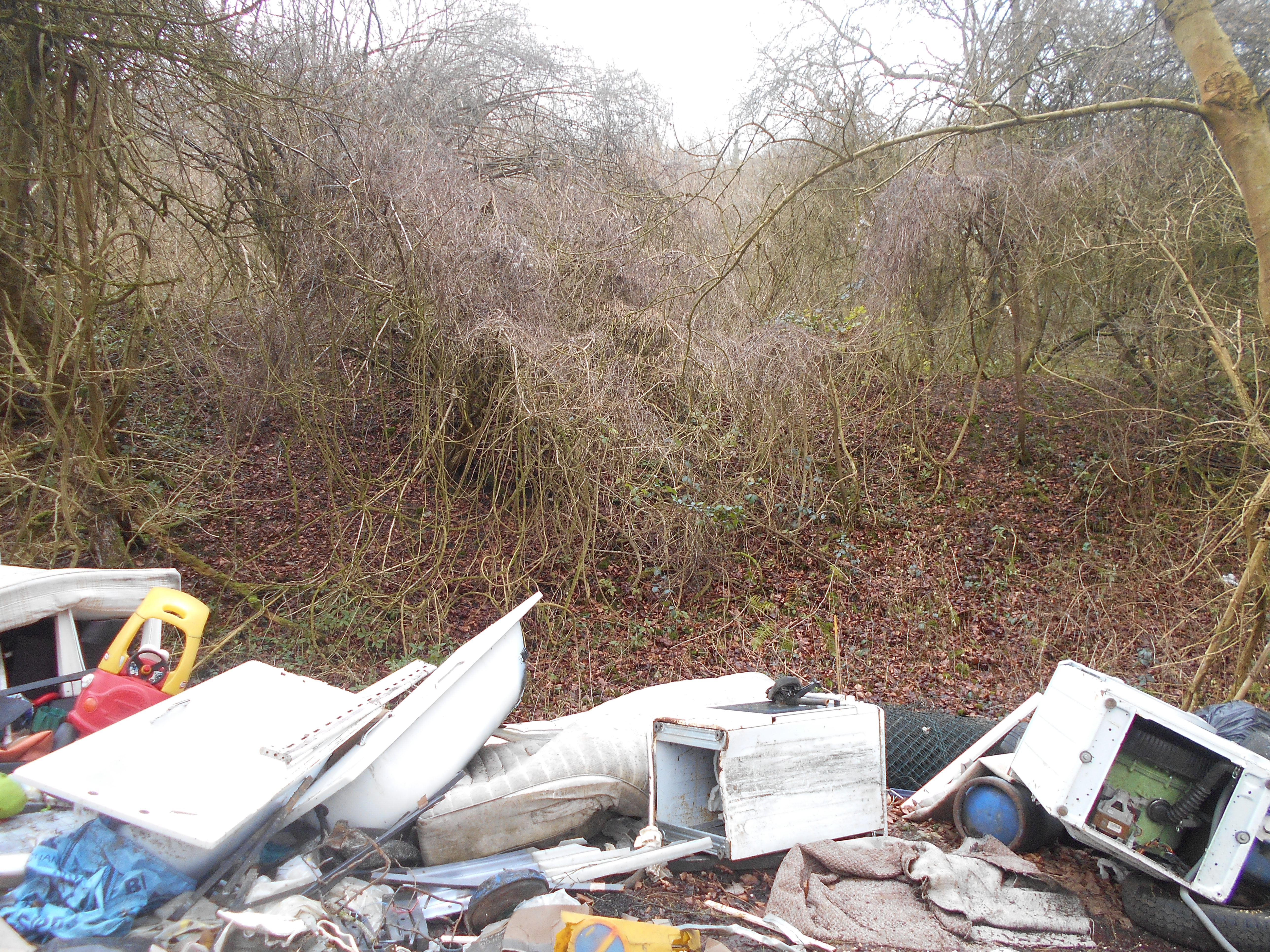 Illegally dumped waste beside a wooded footpath in Tatsfield, Surrey