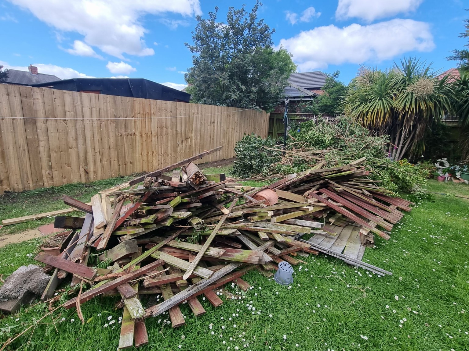 Before: Garden timber clearance