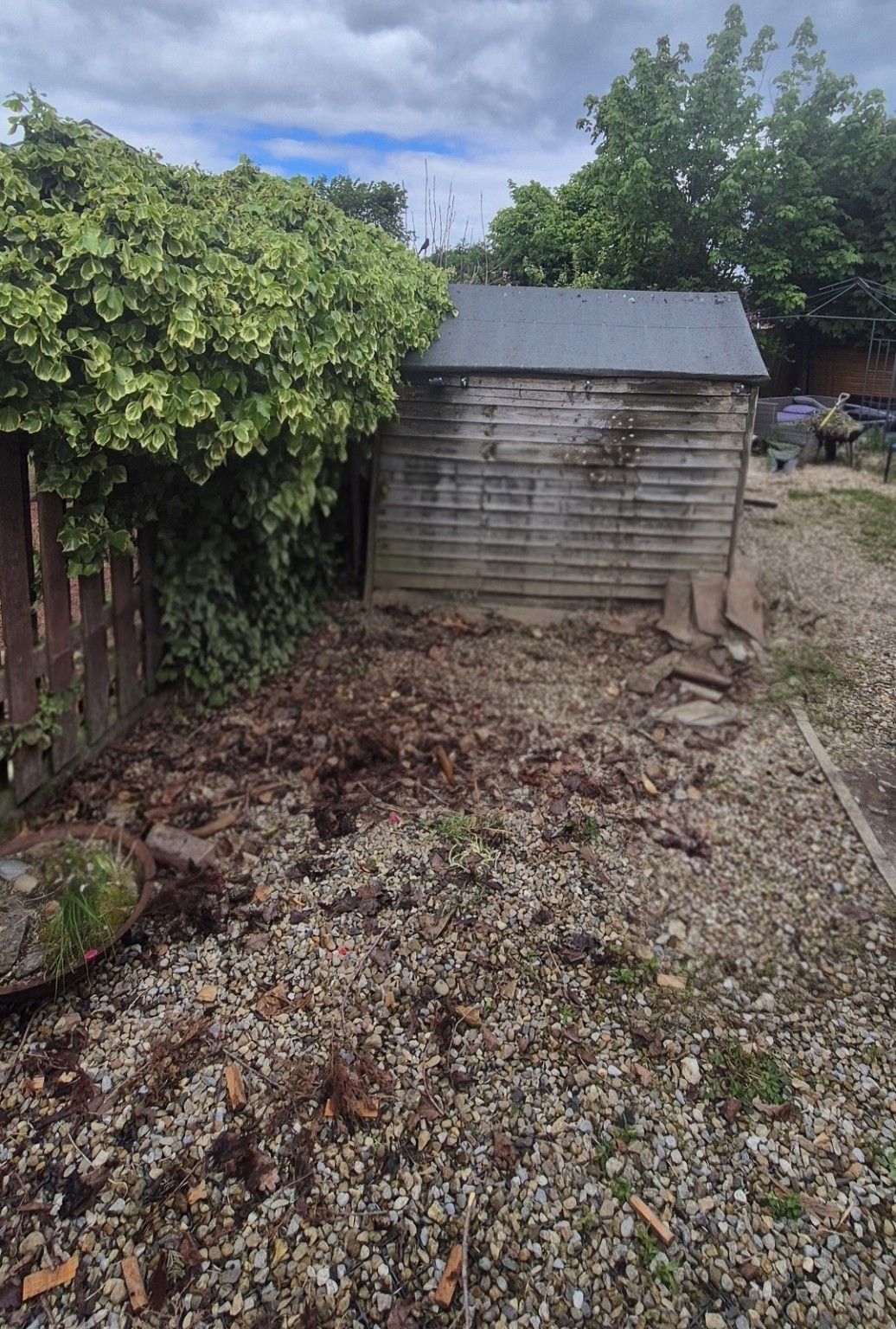 After: Shed contents and garden clutter
